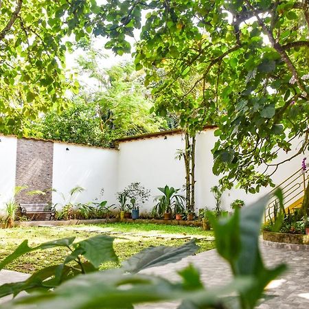 Green House Tarapoto Esterno foto