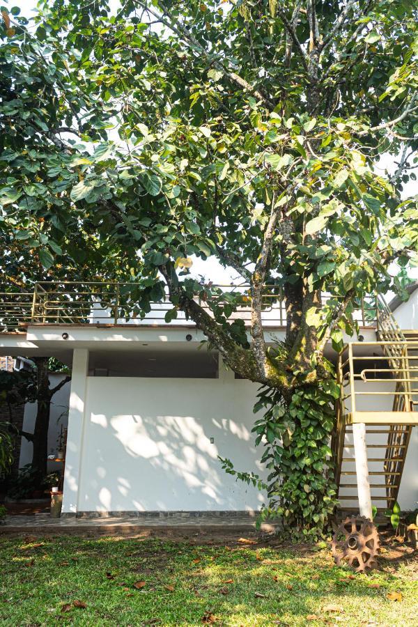 Green House Tarapoto Esterno foto