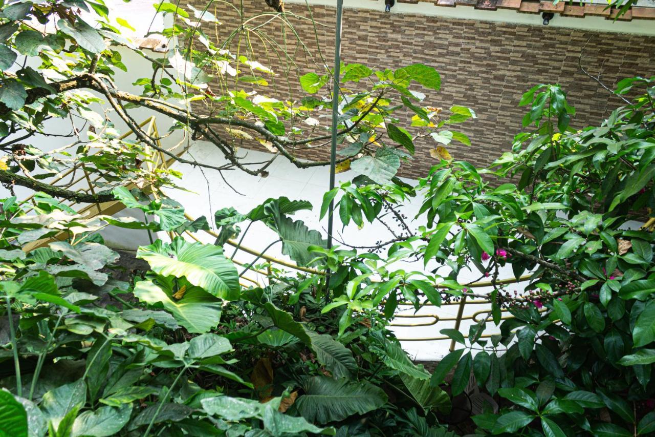 Green House Tarapoto Esterno foto