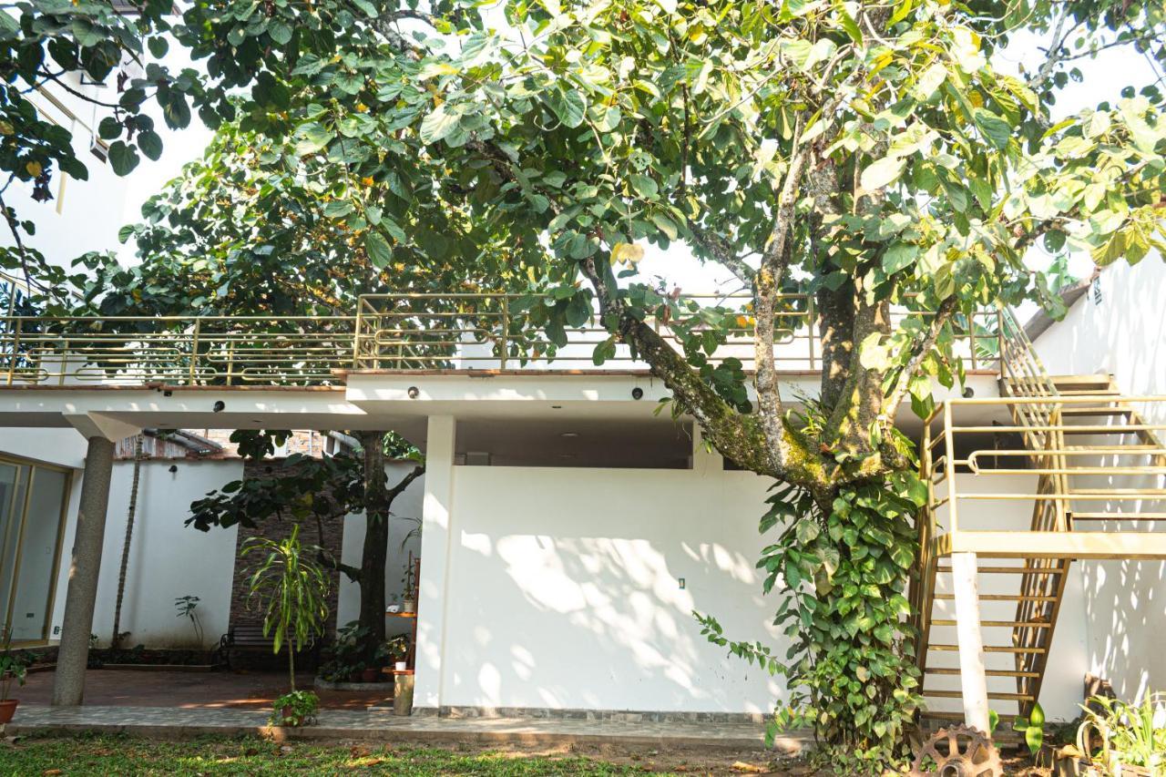 Green House Tarapoto Esterno foto